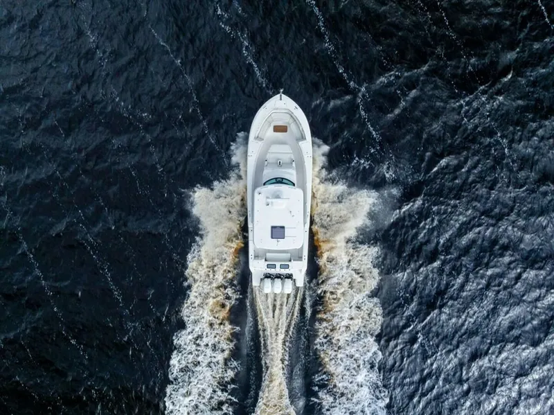 Slide: The Image of Bertram 39 2022 - 5890554