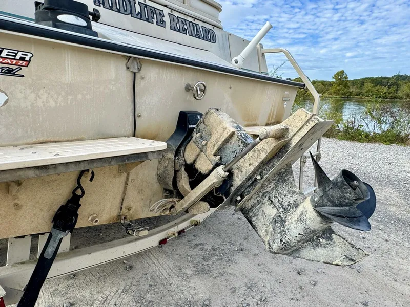 Slide: The Image of Sun Tracker Party Deck 21 2002 - 5987899