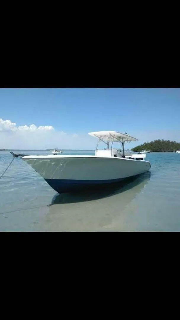 The Image of Palmetto 33 Adventure 2006 - 5892856