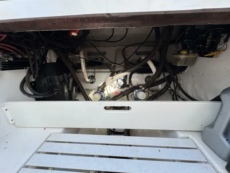 Slide: The Image of Palmetto 33 Adventure 2006 - 5892866