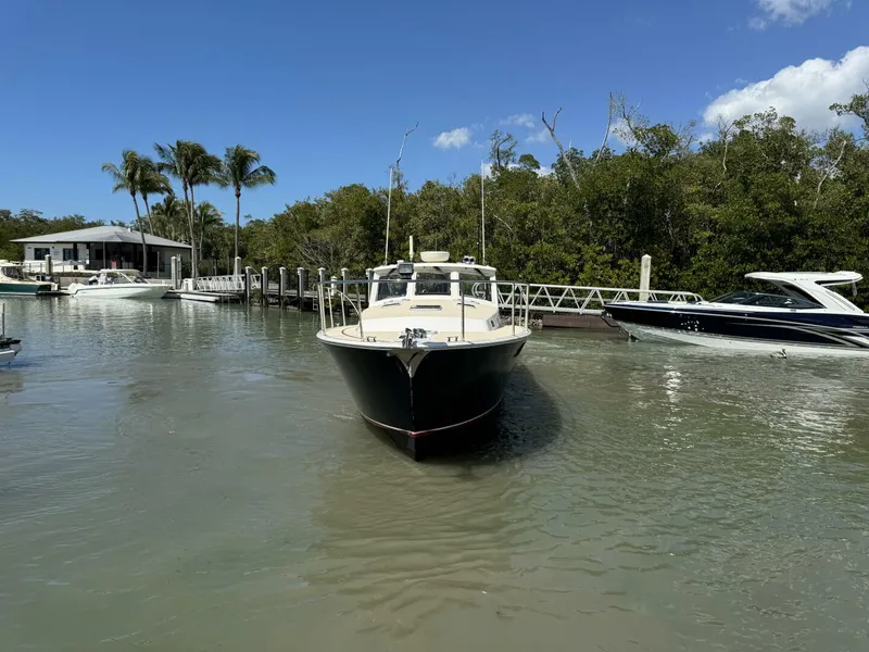 Slide: The Image of MJM 43z 2021 - 5979915