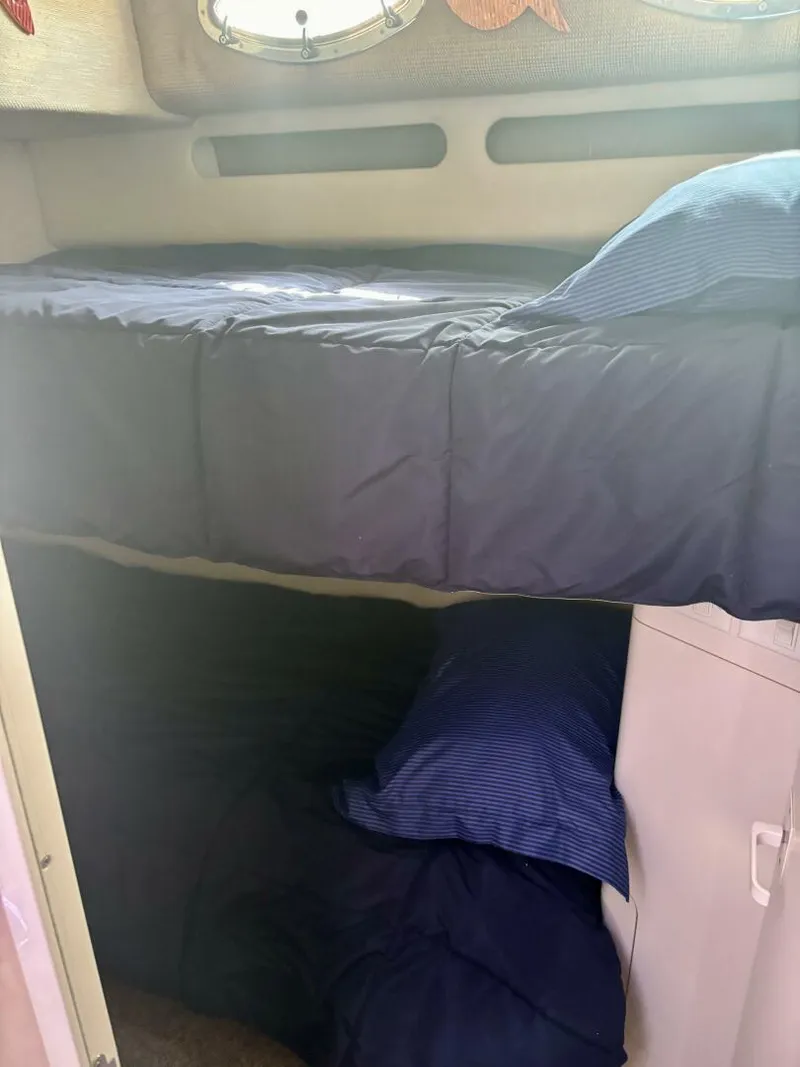 Slide: The Image of Sea Ray 550 Sedan Bridge 1995 - 5893867