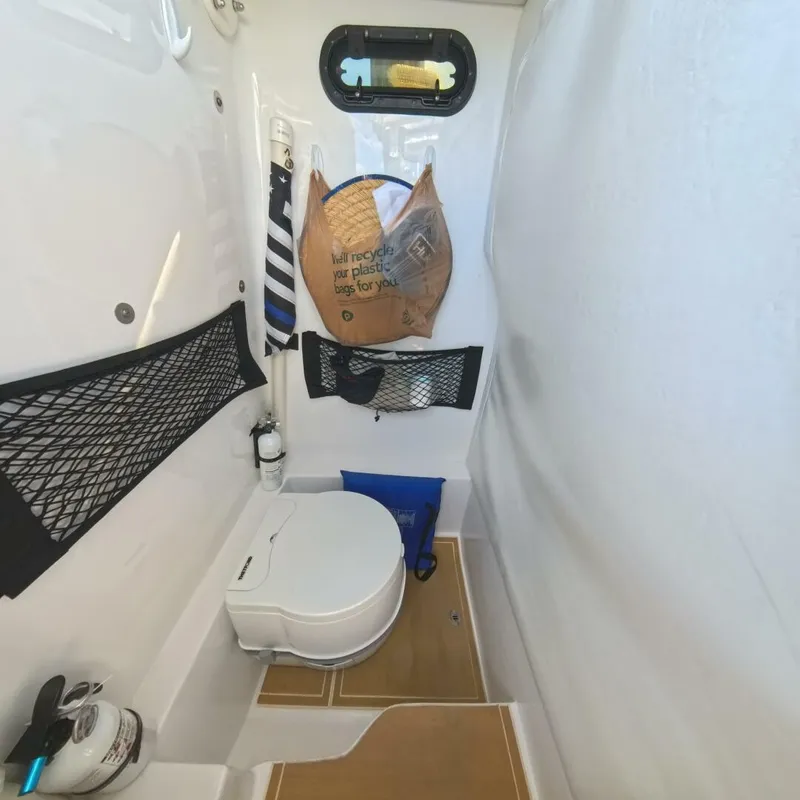 Slide: The Image of Velocity 262 CC 2020 - 5905563