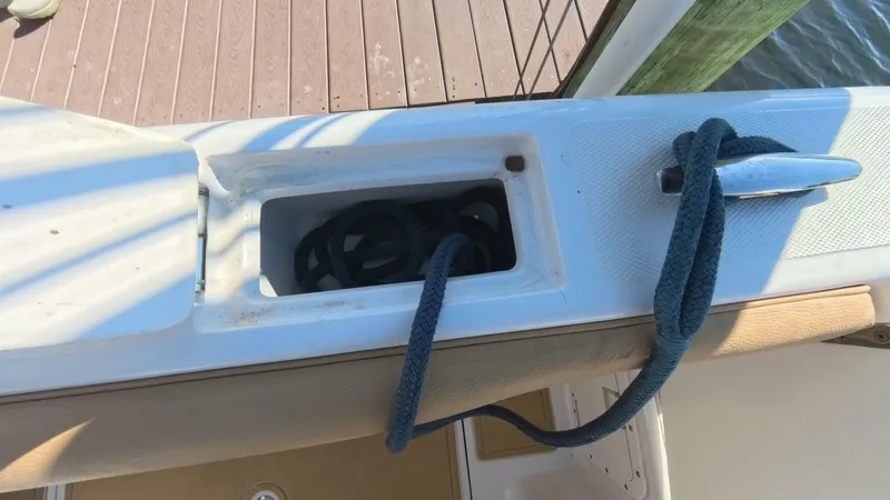 Slide: The Image of Velocity 262 CC 2020 - 5905566