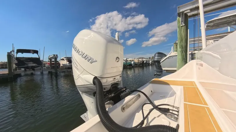 Slide: The Image of Velocity 262 CC 2020 - 5905610