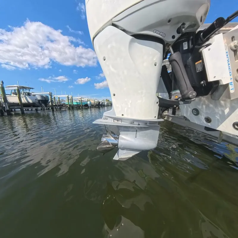 Slide: The Image of Velocity 262 CC 2020 - 5905613