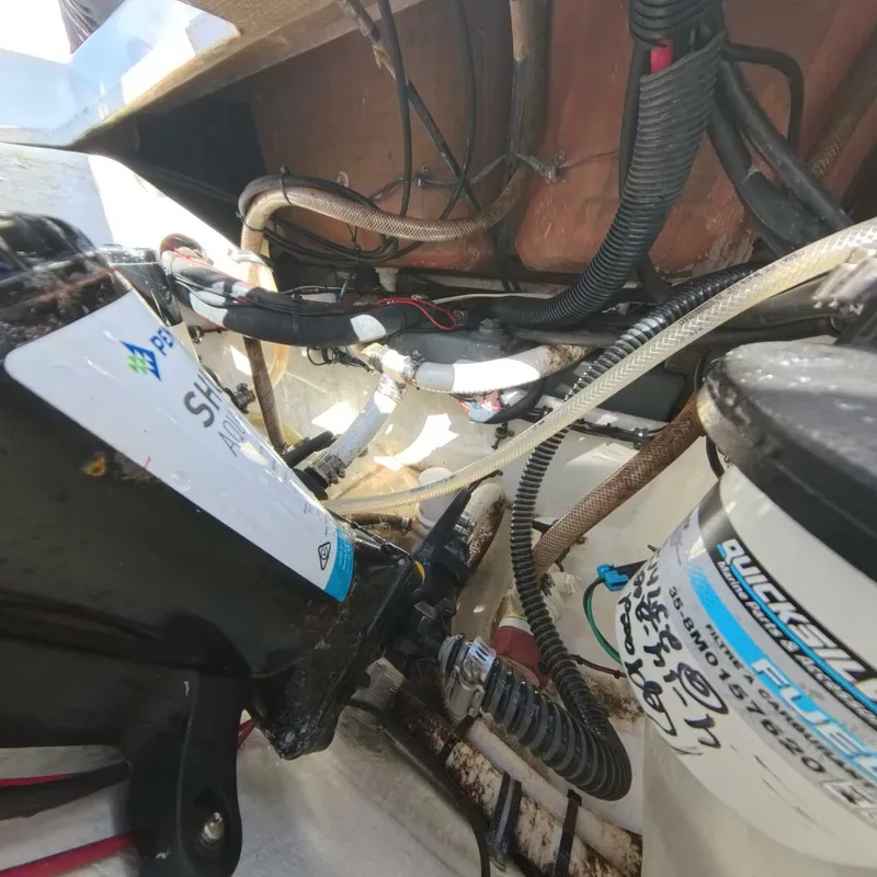 Slide: The Image of Velocity 262 CC 2020 - 5905569