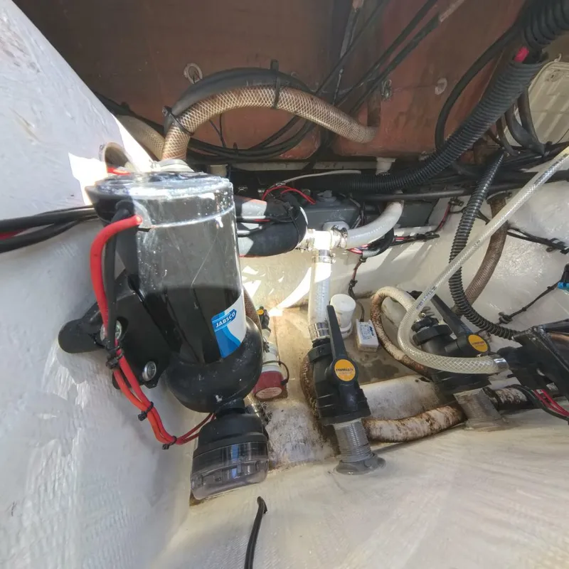 Slide: The Image of Velocity 262 CC 2020 - 5905570