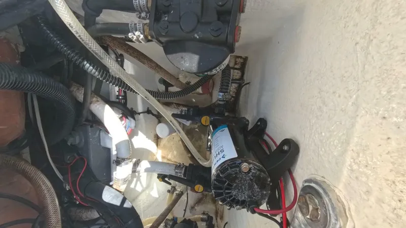 Slide: The Image of Velocity 262 CC 2020 - 5905571