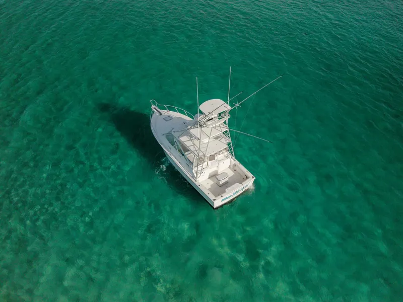 Slide: The Image of Cabo 35 Express 2005 - 5902531