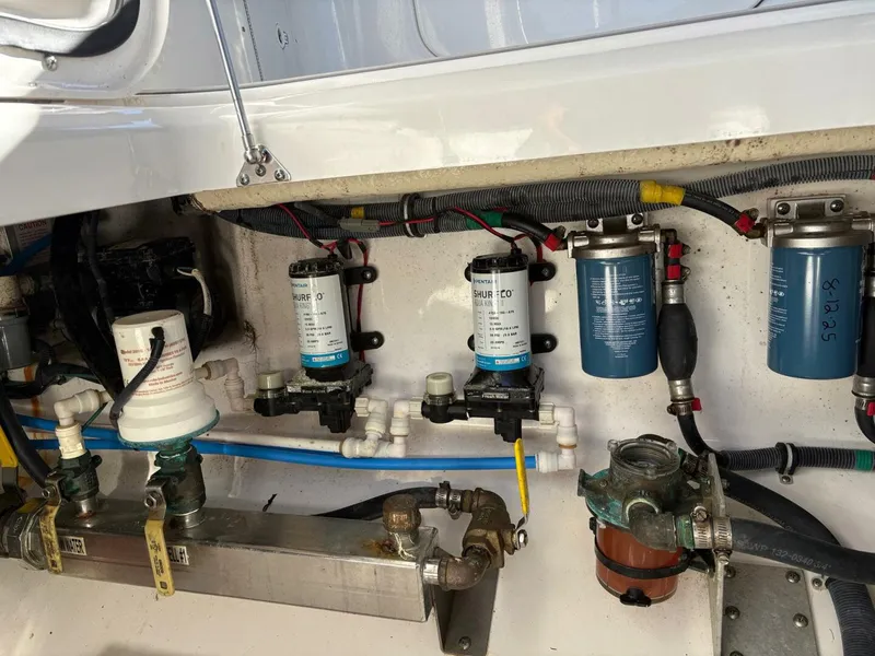 Slide: The Image of Everglades 350 LX 2017 - 5896223