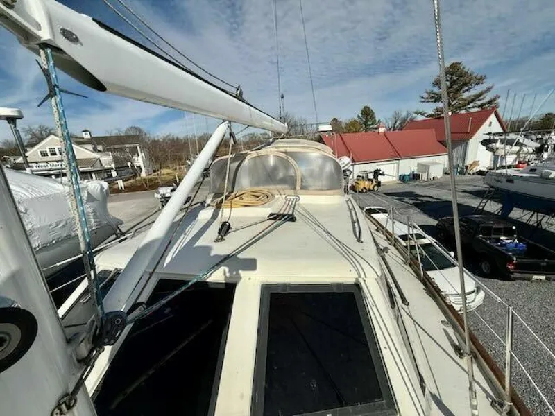 Slide: The Image of Oyster 49 1992 - 5897160