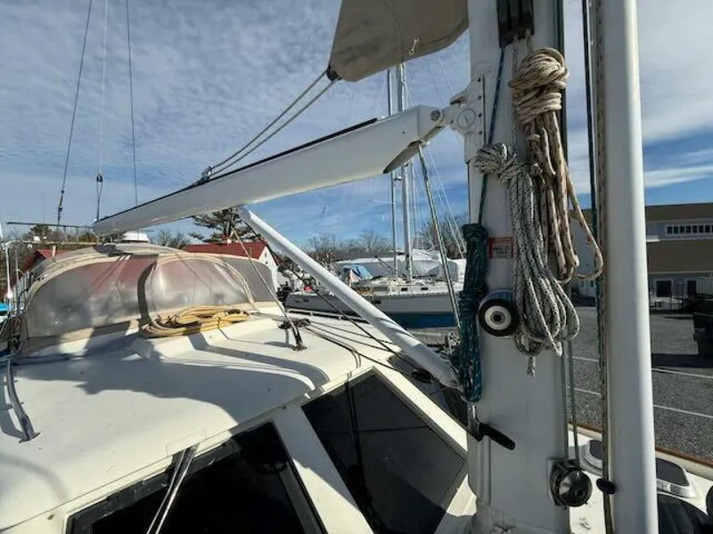 Slide: The Image of Oyster 49 1992 - 5897162