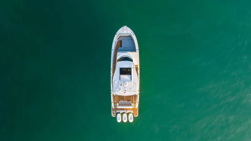 Slide: The Image of Regal SAV 2025 - 5917342