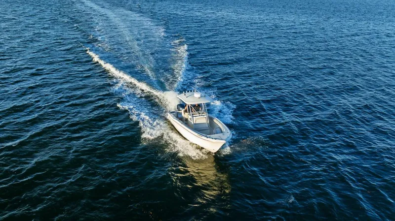 Slide: The Image of Scout 245 XSF 2011 - 5899673