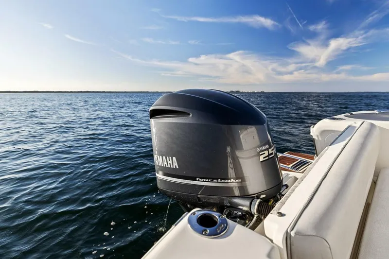 Slide: The Image of Scout 245 XSF 2011 - 5899682