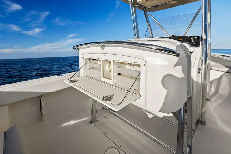 Slide: The Image of Scout 245 XSF 2011 - 5899683