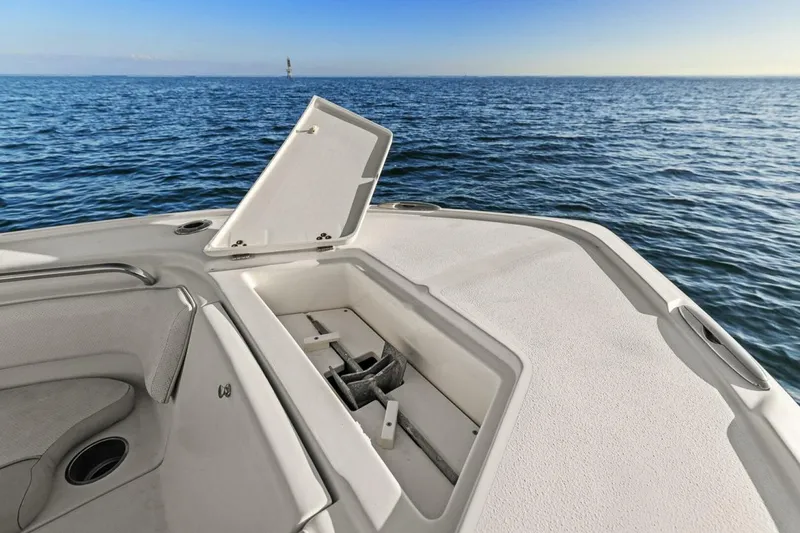 Slide: The Image of Scout 245 XSF 2011 - 5899689