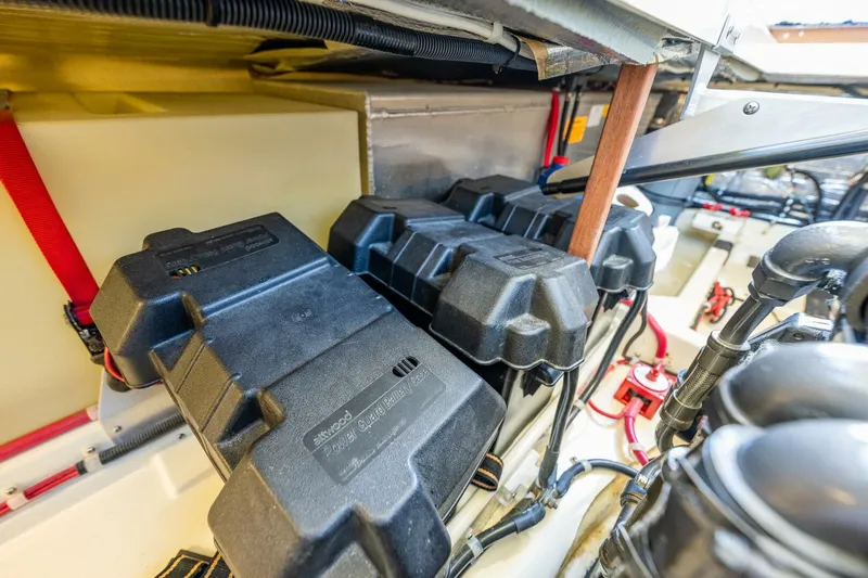 Slide: The Image of Camano 31 2006 - 5901087