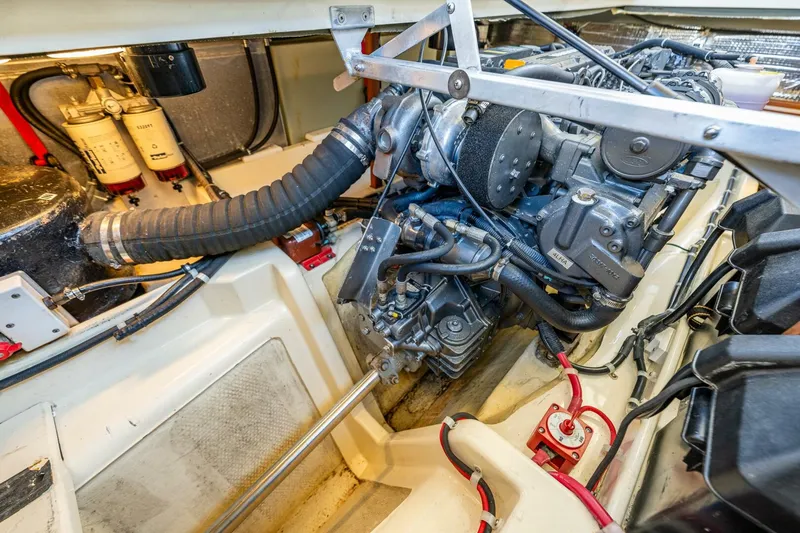 Slide: The Image of Camano 31 2006 - 5901093