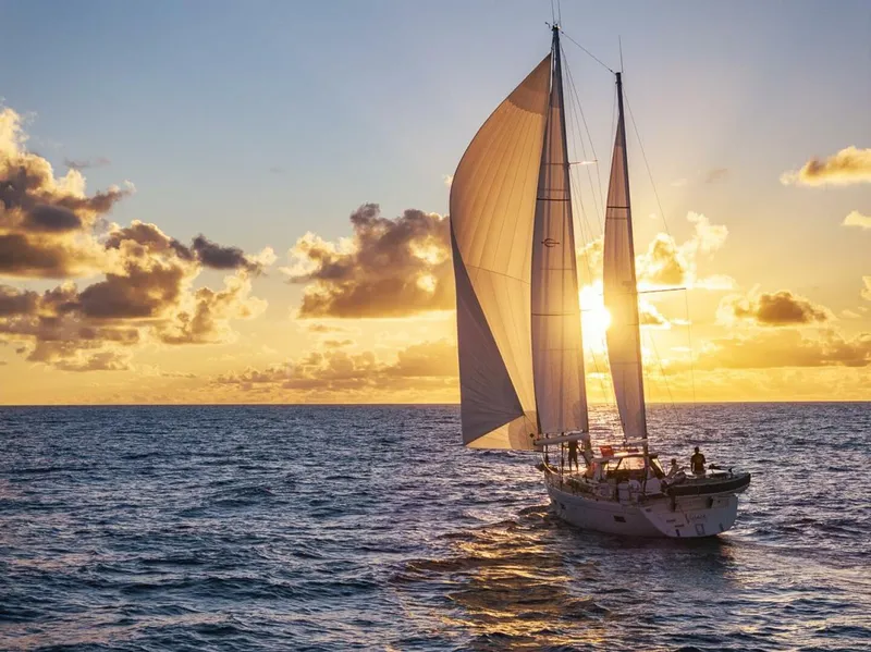 Slide: The Image of Amel 55 2018 - 5901184