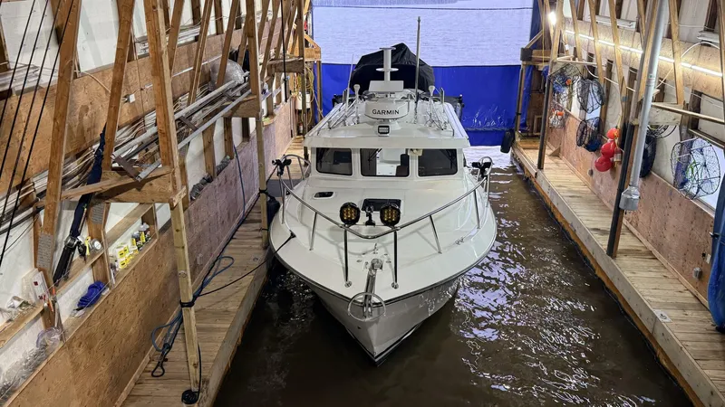 Slide: The Image of Ocean Sport Roamer 2013 - 5902850