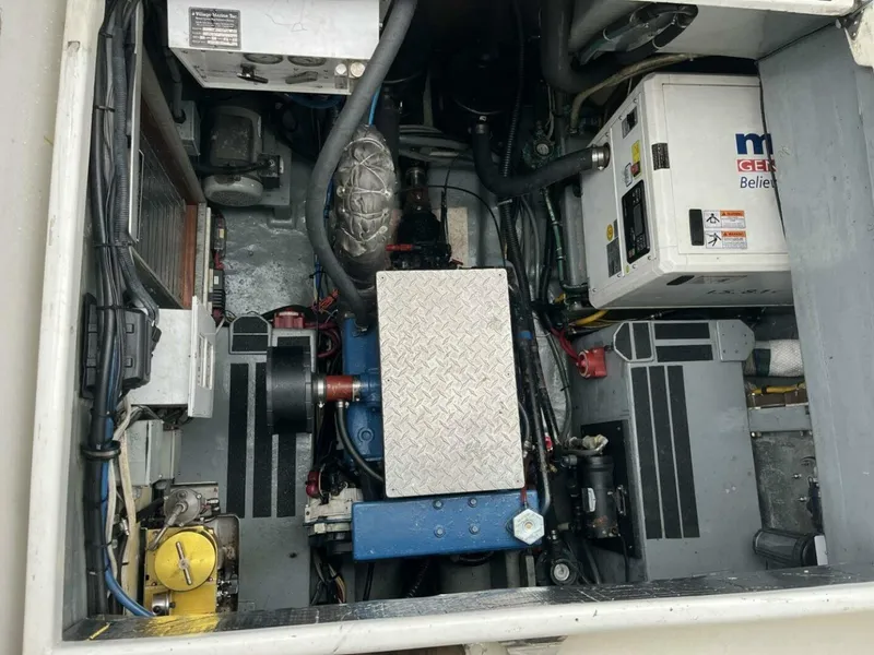 Slide: The Image of Amel Mango 1979 - 5903884