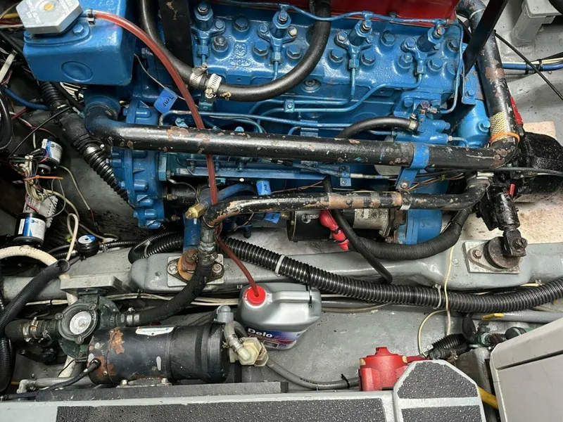 Slide: The Image of Amel Mango 1979 - 5903887