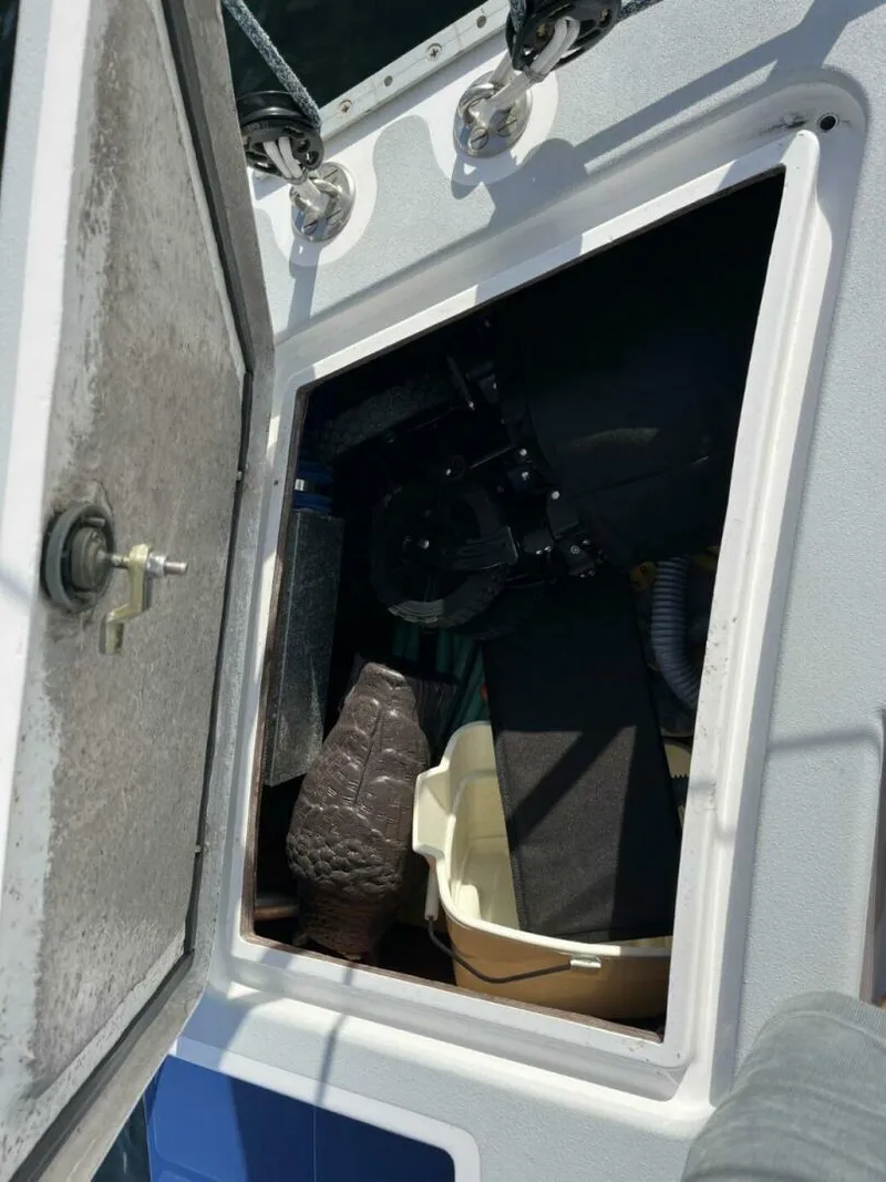 Slide: The Image of Able Apogee 50 1995 - 5904406