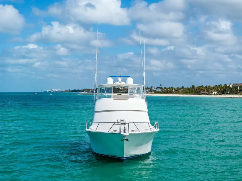 Slide: The Image of 2008 Viking 64 Convertible 20% - 5979729