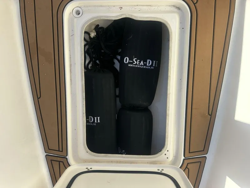 Slide: The Image of Scout 251 XSS 2021 - 5905512