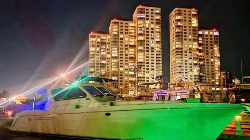 The Image of Navigator Californian Veneti 2003 - 5911598