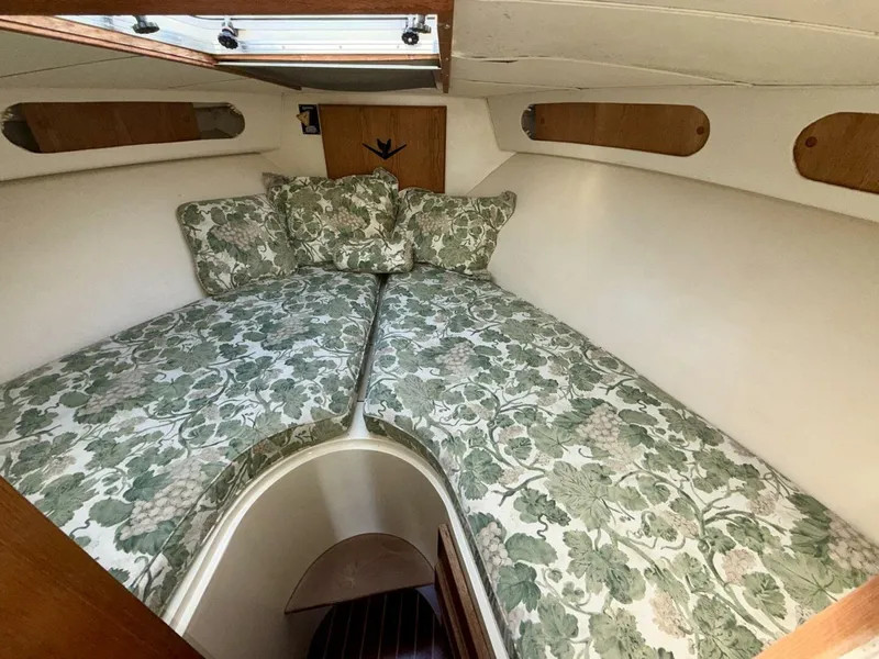 Slide: The Image of Bertram 33 Sport Fisherman 1991 - 5906144