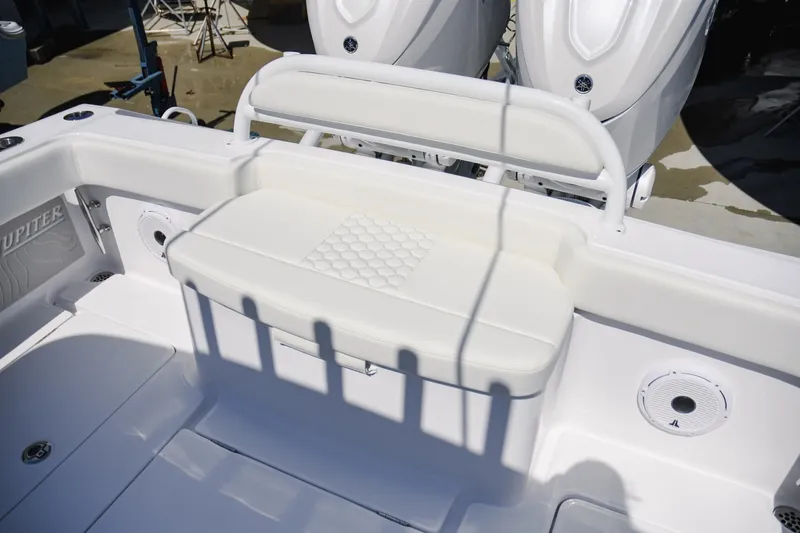 Slide: The Image of Jupiter 32 2026 - 6030485