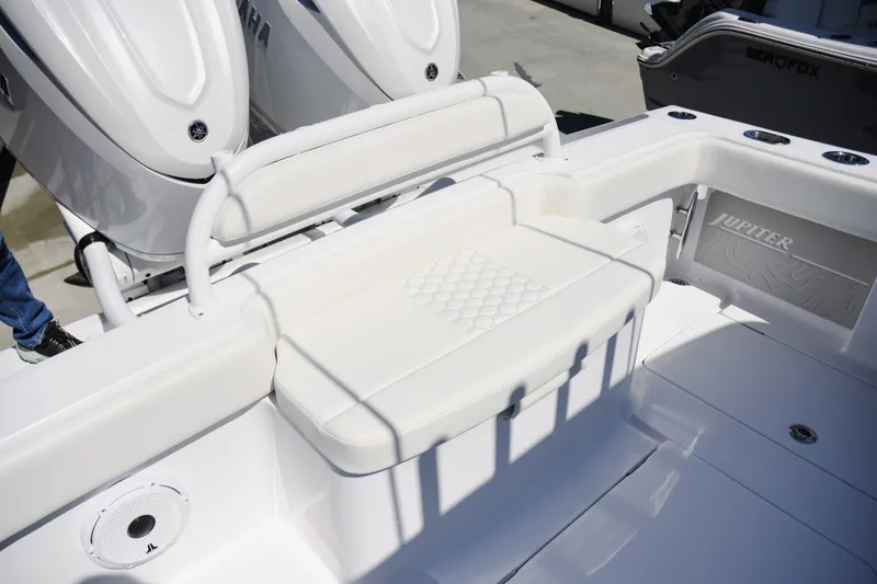 Slide: The Image of Jupiter 32 2026 - 6030501