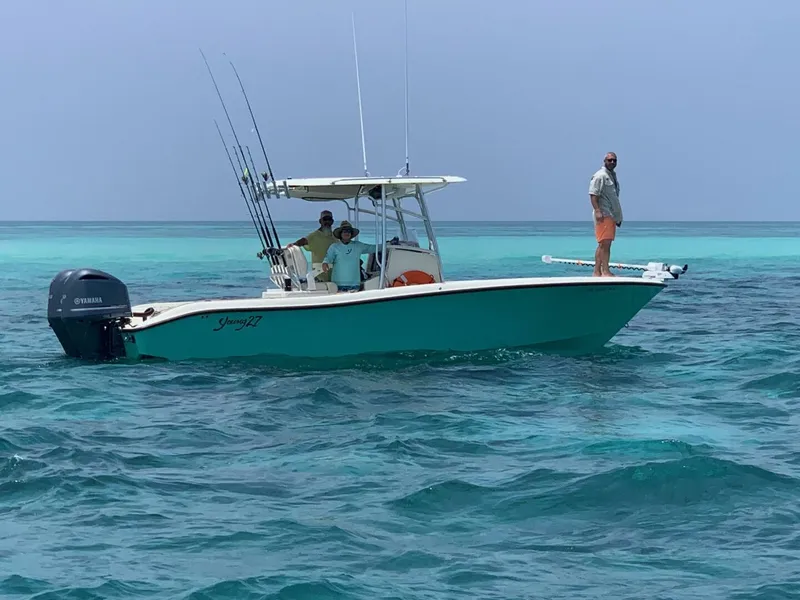 The Image of 2018 Young Boats 27 - Profile - 5908078