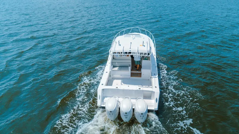 Slide: The Image of Jupiter 41 Sport Bridge 2026 - 5907451