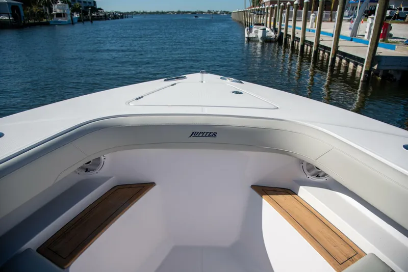 Slide: The Image of Jupiter 43 2026 - 5916822