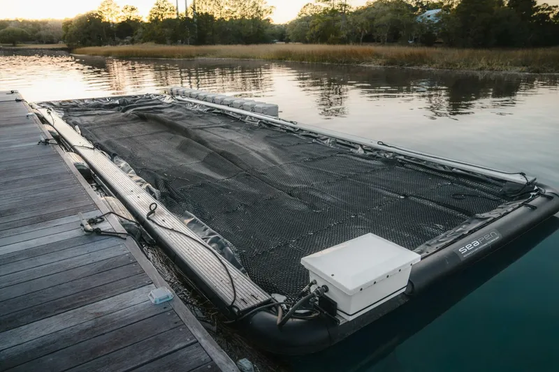 Slide: The Image of Scout 377 LXF 2024 - 5908267