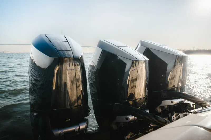 Slide: The Image of Scout 377 LXF 2024 - 5908256