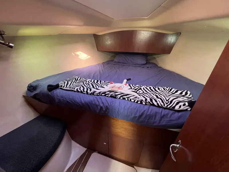 Slide: The Image of Hunter 33-2 2005 - 5911458