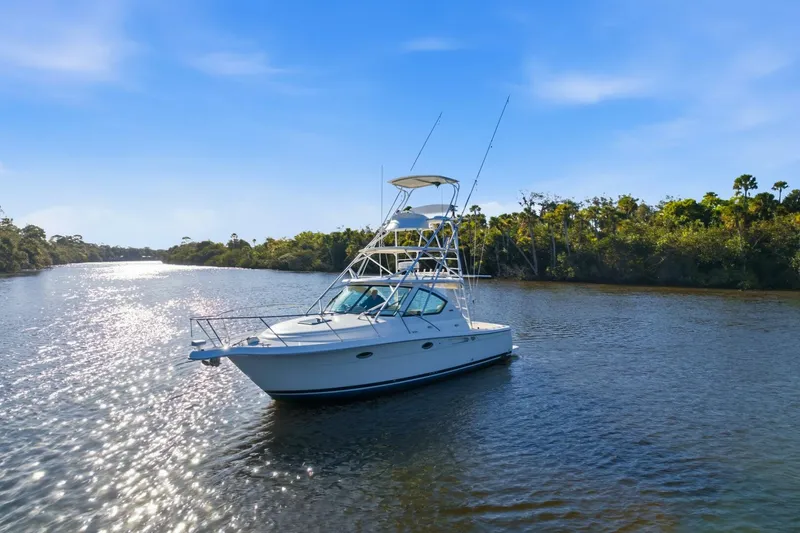 Slide: The Image of Tiara 31 Serenity- Profile 2011 Tiara  31 Open Serenity - 5910104