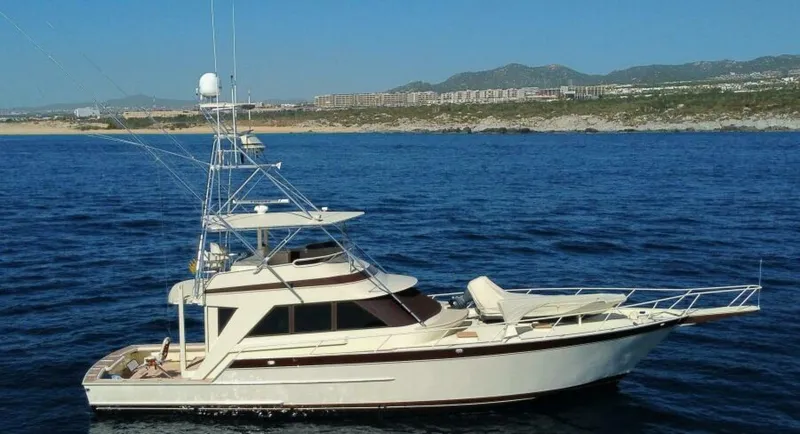 The Image of 1989 Striker 62 Convertible - TALISMAN - 5911159