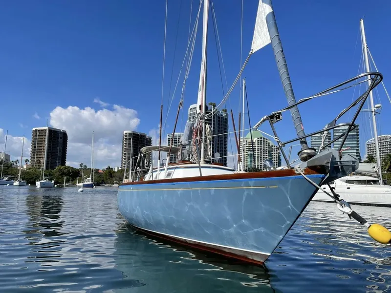 Slide: The Image of Carter 33 stb bow - 5912717