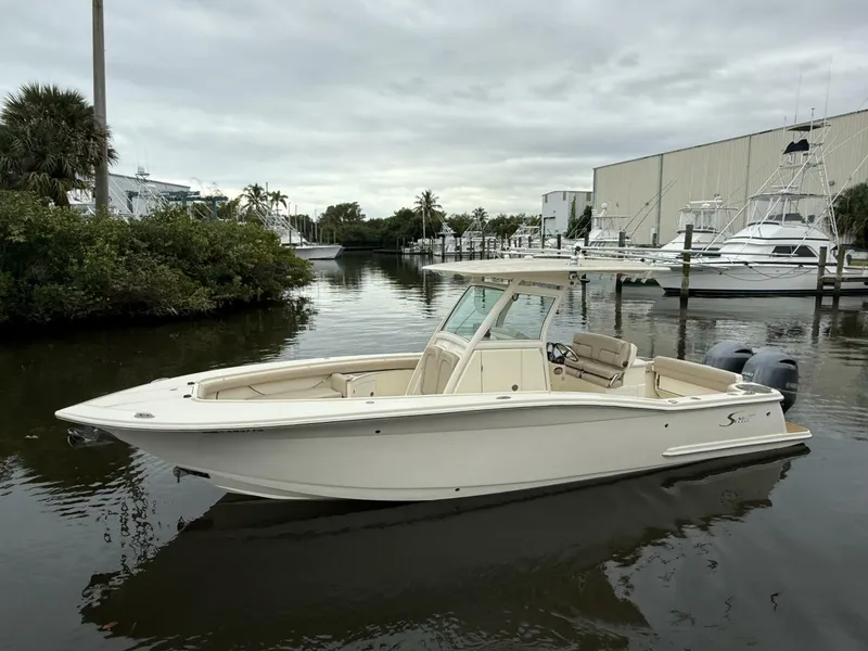 The Image of Scout 27 2014 - 5913456