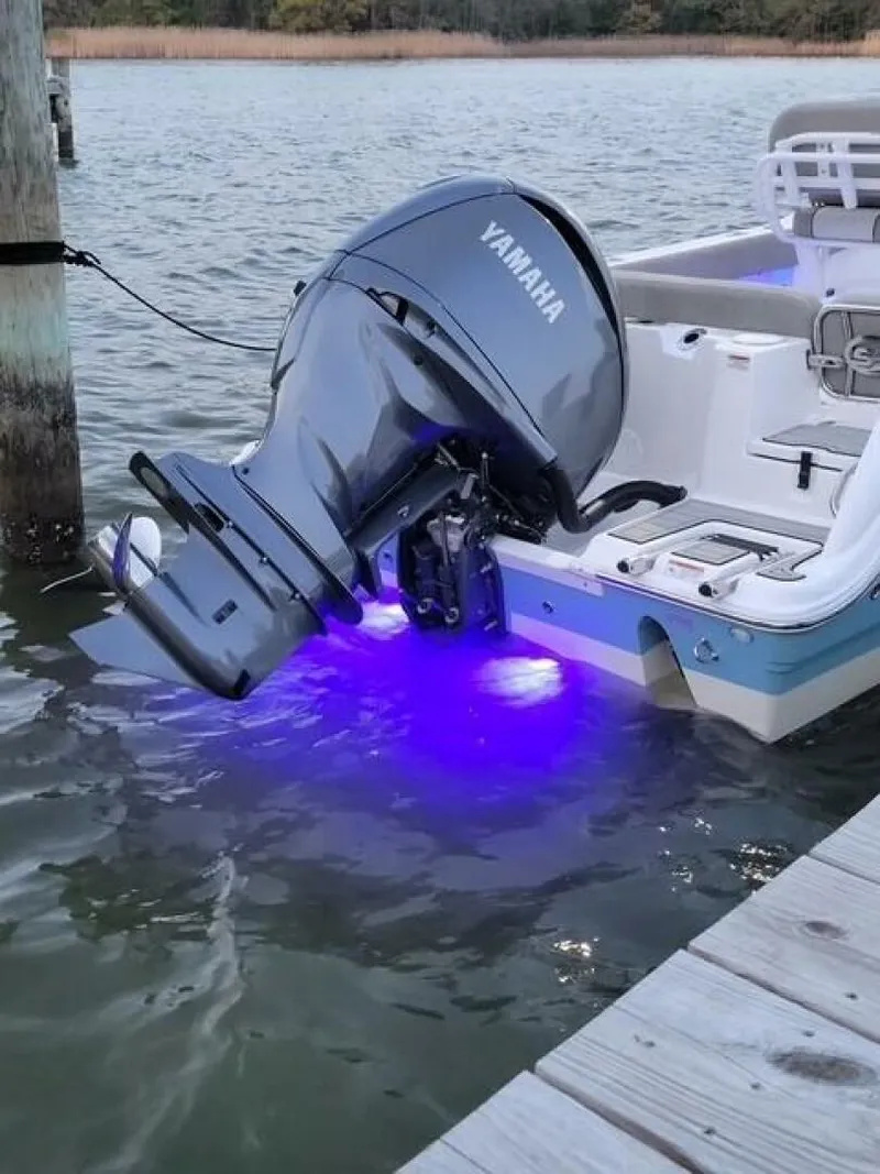 Slide: The Image of Sea Fox 248 COMMANDER CC 2022 - 5913493