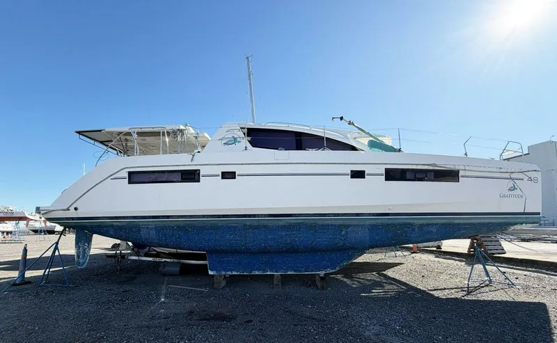 The Image of Leopard 48 2015 - 5913509