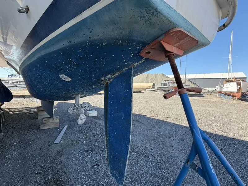 Slide: The Image of Leopard 48 2015 - 5913523