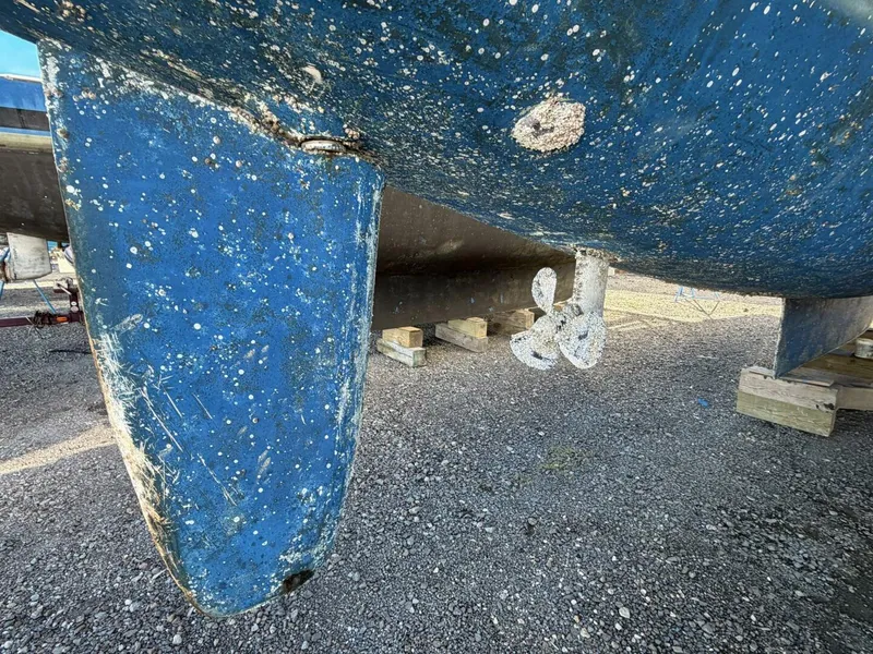 Slide: The Image of Leopard 48 2015 - 5913524