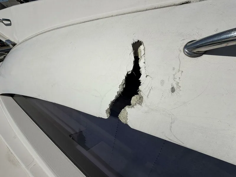 Slide: The Image of Leopard 48 2015 - 5913547